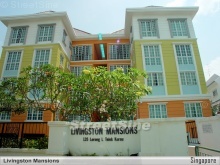 Livingston Mansions project photo thumbnail